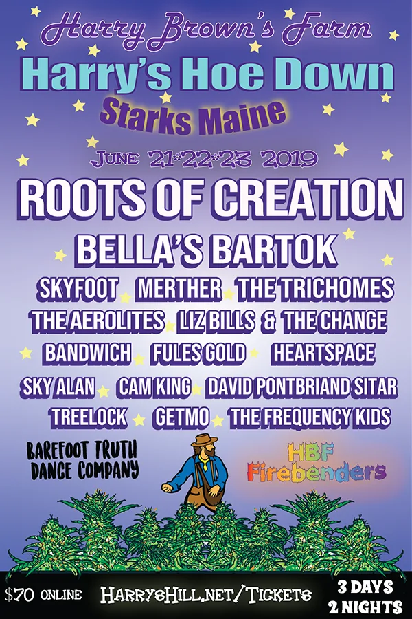 2019 Harry's Hoe Down Line Up