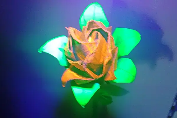 Art911 joins the live artists for The Happening 2026 Lineup